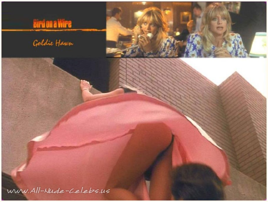 CelebrityMovieDB.com - Goldie Hawn.