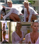 Nicollette Sheridan Nude Pictures