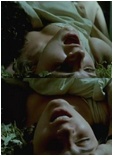 Mira Furlan nude